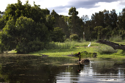 Hunter Wetlands Centre - Newcastle Accommodation 0