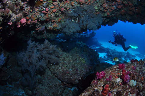 Hutchinson Shoal Dive Site - New Castle Tourism 0