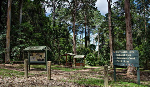 Jerusalem Creek Picnic Area - New Castle Tourism 0