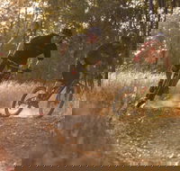 Kholo Gardens Trails - New Castle Tourism