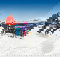 Kosciuszko National Park - Newcastle Accommodation