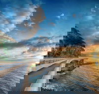 Kramer Photography Rainforest Gallery - Newcastle Accommodation