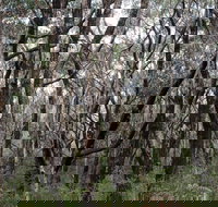 Lookout Hill  Circuit Walk - New Castle Tourism