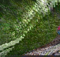 Morisset - New Castle Tourism