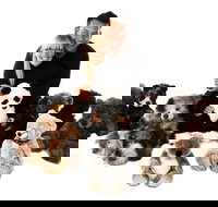 Nanas Teddies and Toys