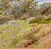 Old Mountain Road Walking Track - Newcastle Accommodation