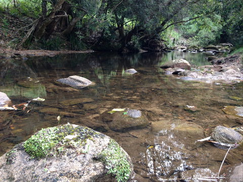 Otford Farm Horse Riding - Newcastle Accommodation 2