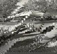 Pioneer Park - New Castle Tourism