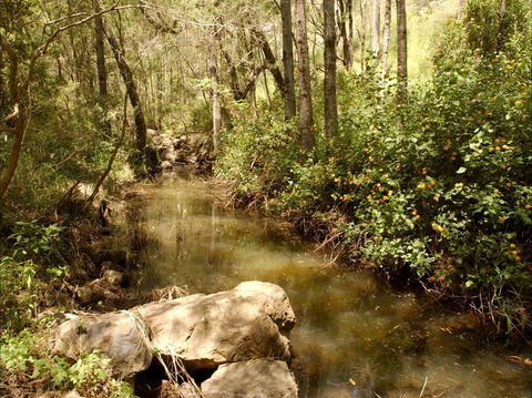 Sandy Creek Track - New Castle Tourism 0