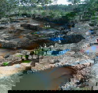 South Kolan - New Castle Tourism