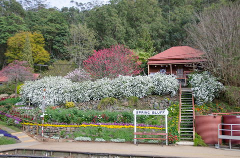 Spring Bluff Railway Station - New Castle Tourism 1