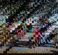 State Forests of the Watagan Mountains