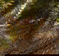 The West Coast Wilderness Way - New Castle Tourism