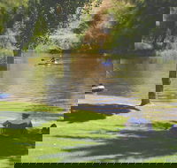 The Lions Junction Park - Tumut - Newcastle Accommodation