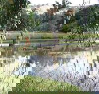 Tumut Wetlands - Newcastle Accommodation