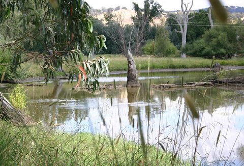 Tumut Wetlands - Newcastle Accommodation 0