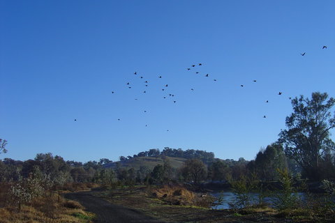 Tumut Wetlands - Newcastle Accommodation 1