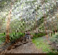 Venman Bushland National Park