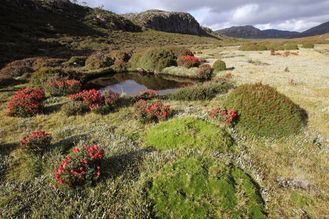 Walls Of Jerusalem National Park - New Castle Tourism 1