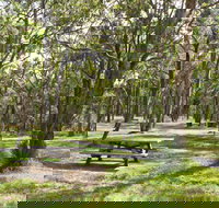 Wollomombi Gorge and Falls Picnic Area - Newcastle Accommodation