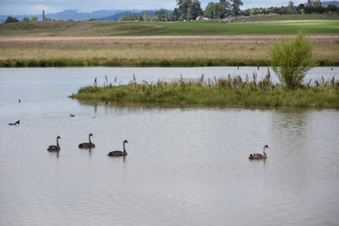 Beardy Waters Dam And Woodlands - Newcastle Accommodation 0