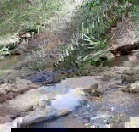 Bomaderry Creek Regional Park - New Castle Tourism