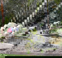 Maroochy Regional Bushland Botanic Garden - New Castle Tourism