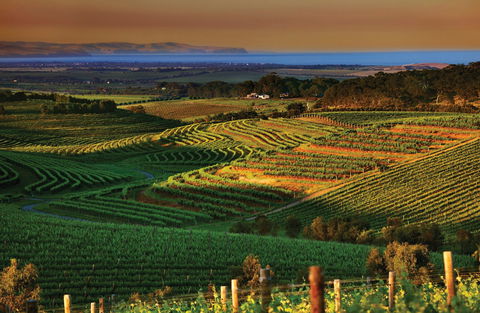 Mclaren Vale - Newcastle Accommodation 1