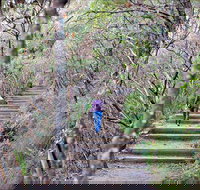 Princes Rock Walking Track