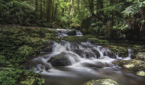 Protesters Falls Walking Track - New Castle Tourism 0