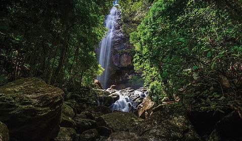 Protesters Falls Walking Track - New Castle Tourism 1