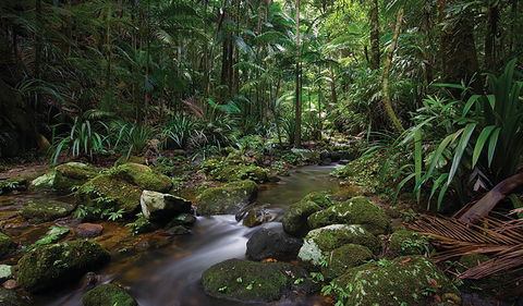 Protesters Falls Walking Track - New Castle Tourism 2