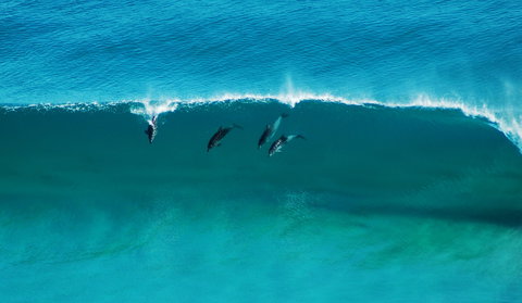 Sand Patch - New Castle Tourism 1