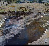 Wangaraleednie Monument  Ruins - Newcastle Accommodation