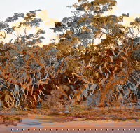 Yawura Yarun - Newcastle Accommodation