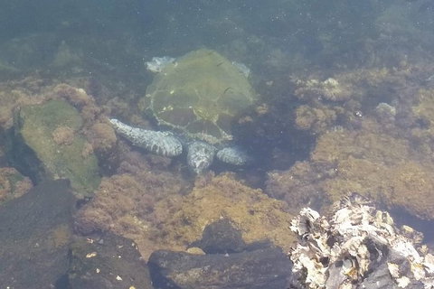 Sawtell To Coffs Harbour Bike Ride - Newcastle Accommodation 4