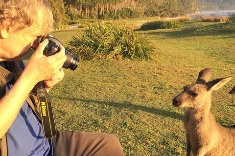 Highlights Of The Eurobodalla (half Day Private Tour) - Newcastle Accommodation 2