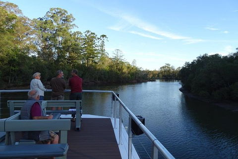 Sunset Eco Rainforest River Cruise - Newcastle Accommodation 4