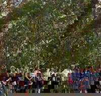 Breakfast Bushwalk Tour in Captain Cook's Monument