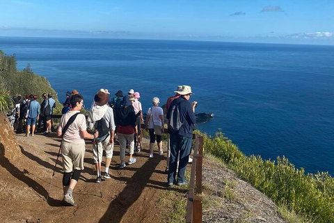 Breakfast Bushwalk Tour In Captain Cook\'s Monument - Newcastle Accommodation 2