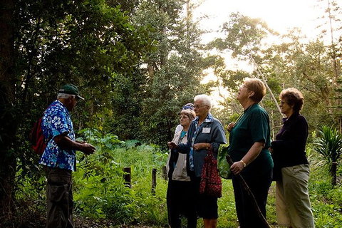 Breakfast Bushwalk Tour In Captain Cook\'s Monument - Newcastle Accommodation 3