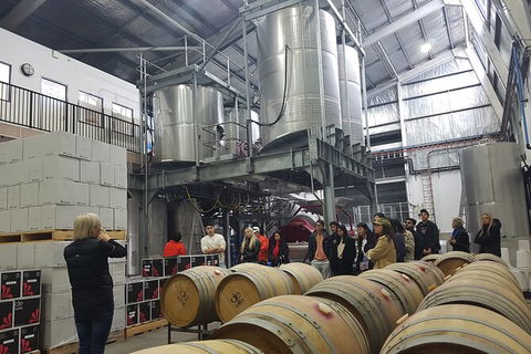 Hunter Valley Small Group Wine, Gin, Cheese & Chocolate Tour - New Castle Tourism 6