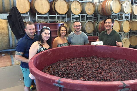 Hunter Valley Small Group Wine, Gin, Cheese & Chocolate Tour - New Castle Tourism 0