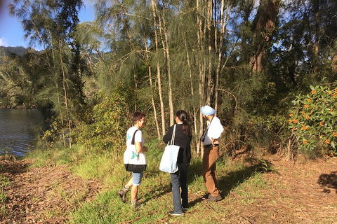 Fishermans Paradise Eco-walk - Newcastle Accommodation 1