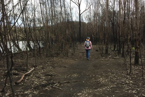 Fishermans Paradise Eco-walk - Newcastle Accommodation 5