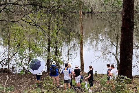 Fishermans Paradise Eco-walk - Newcastle Accommodation 2