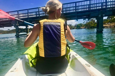 2-Hour Rental Kayak Double In Brunswick River - Newcastle Accommodation 3