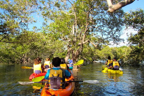 2-Hour Rental Kayak Double In Brunswick River - Newcastle Accommodation 2