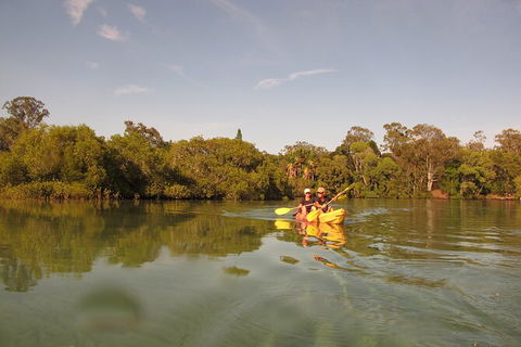 2-Hour Rental Kayak Double In Brunswick River - Newcastle Accommodation 5