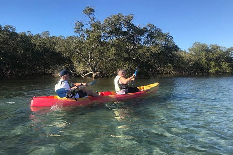 2-Hour Rental Kayak Double In Brunswick River - Newcastle Accommodation 4